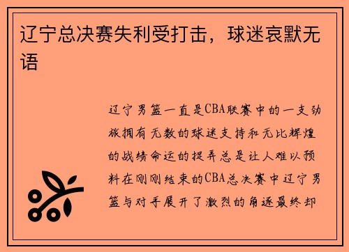 辽宁总决赛失利受打击，球迷哀默无语